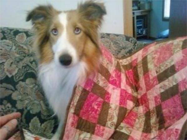 Adora with her quilt
