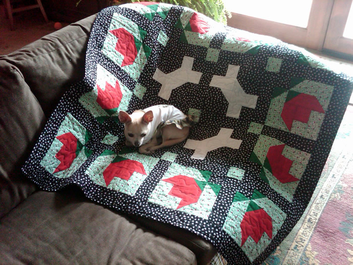 Nugget's quilt